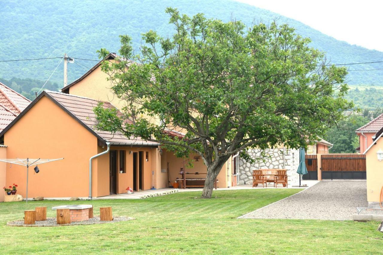 Panorama Vendeghaz / Guesthouse Felsőtárkány Exteriör bild