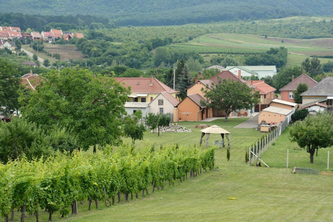 Panorama Vendeghaz / Guesthouse Felsőtárkány Exteriör bild