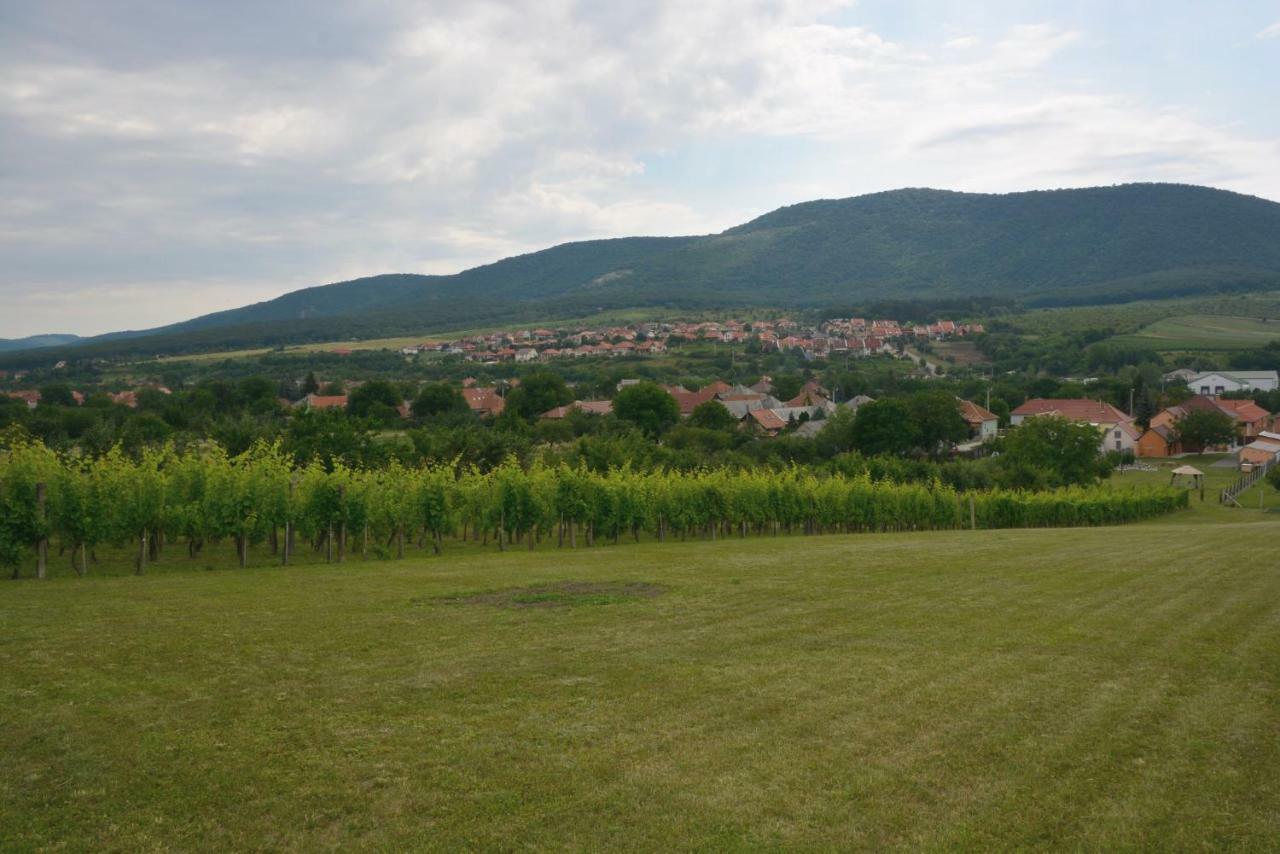 Panorama Vendeghaz / Guesthouse Felsőtárkány Exteriör bild