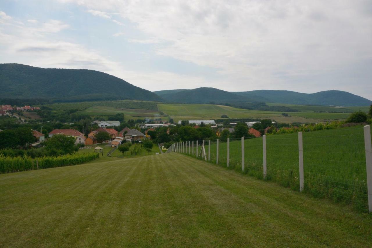 Panorama Vendeghaz / Guesthouse Felsőtárkány Exteriör bild